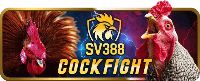 Hoàn trả hàng ngày 23win06